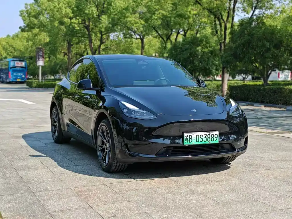 Tesla Model Y — фото 3