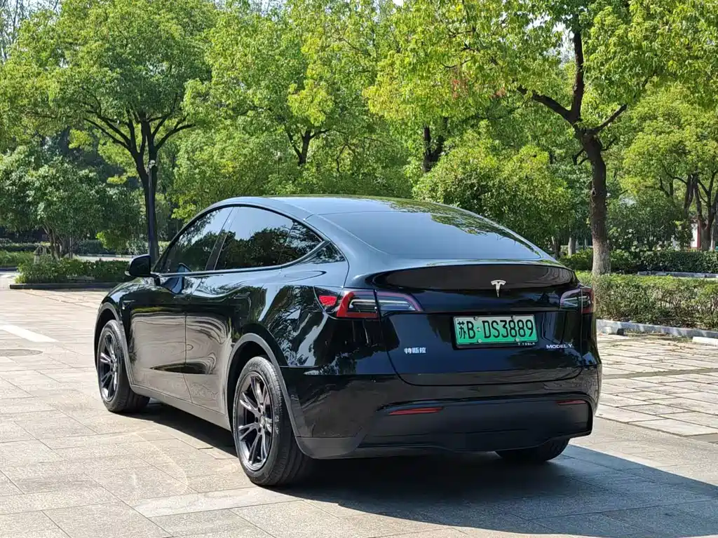 Tesla Model Y — фото 4