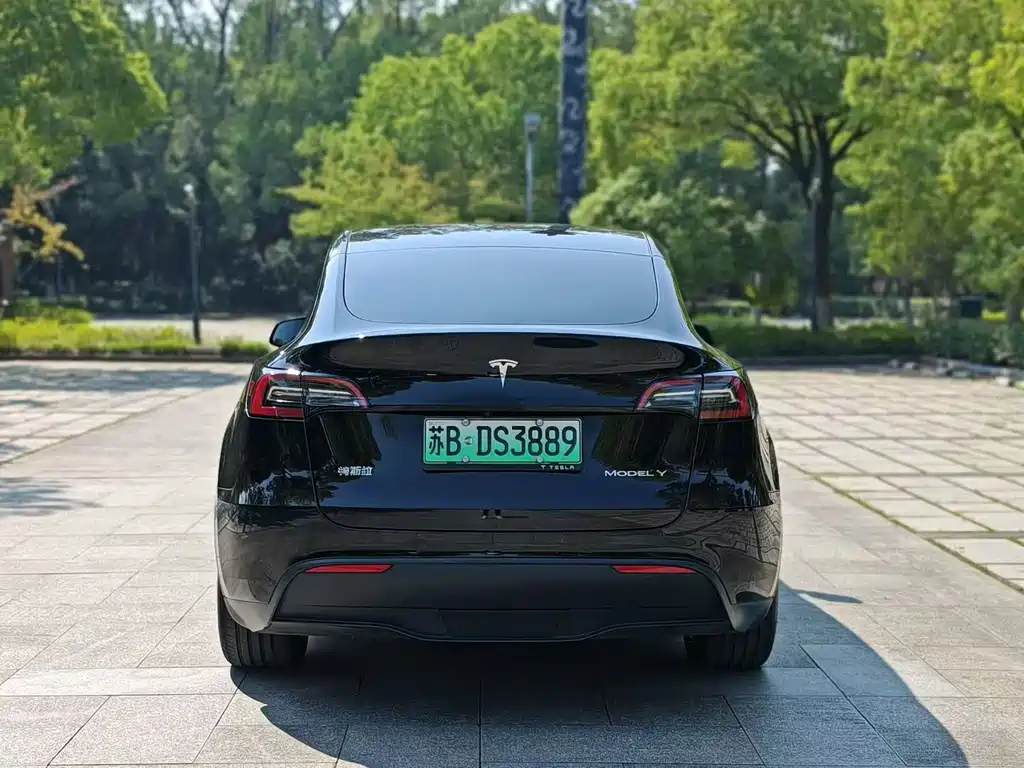 Tesla Model Y — фото 6