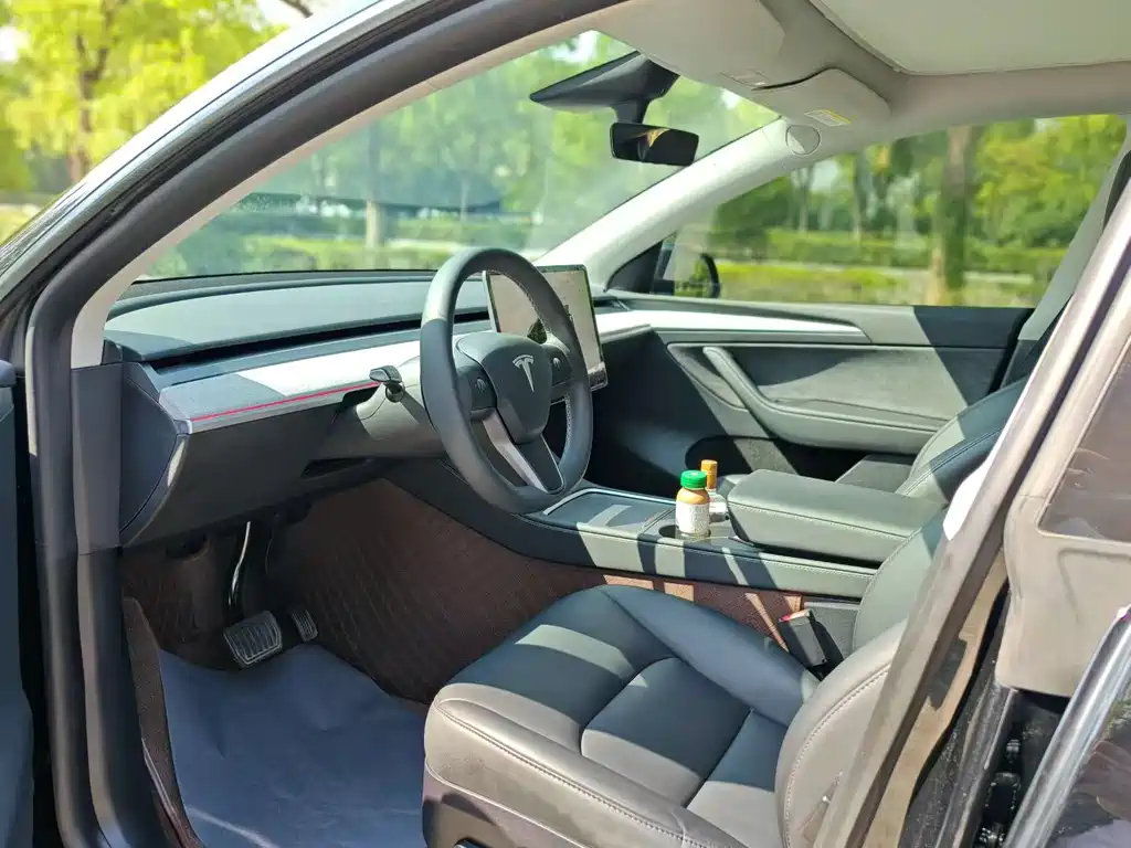 Tesla Model Y — фото 9