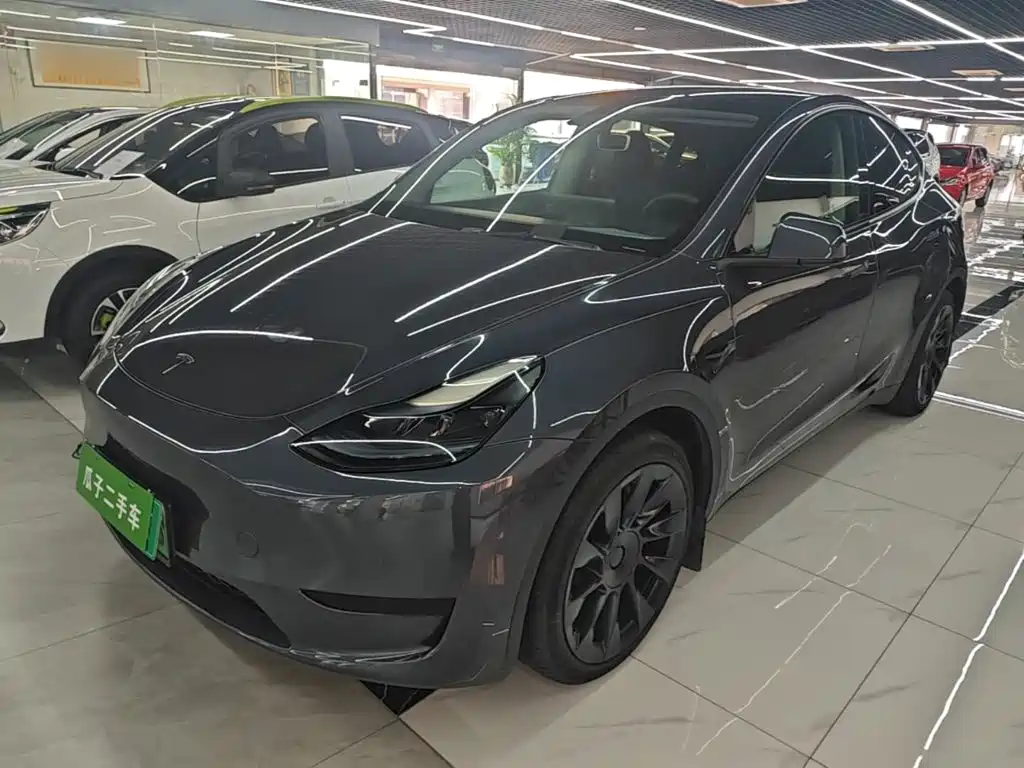 Tesla Model Y — фото 2