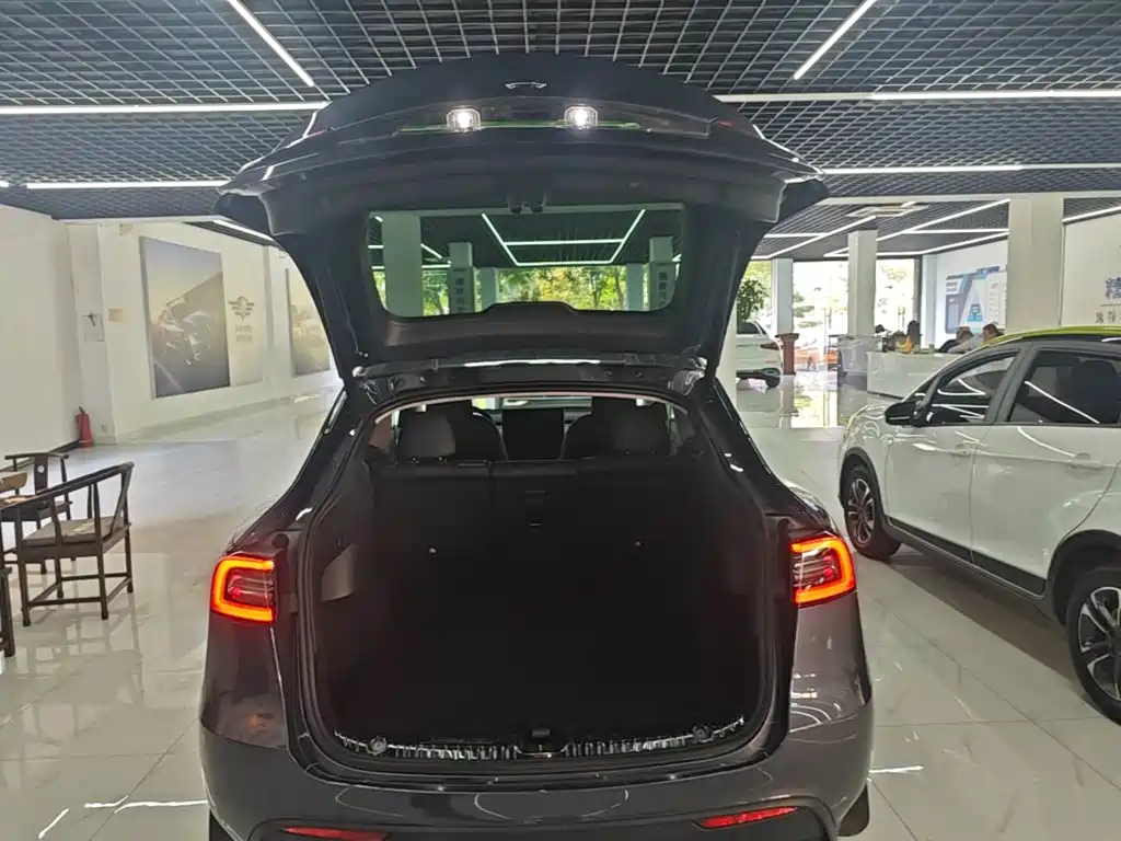 Tesla Model Y — фото 19