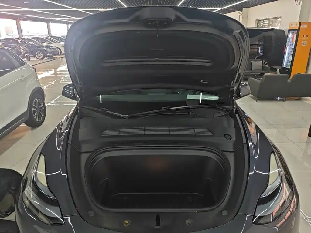 Tesla Model Y — фото 20
