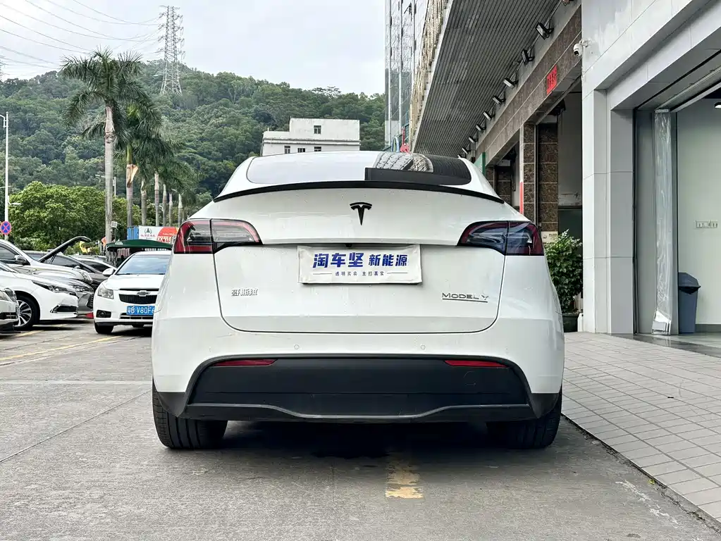 Tesla Model Y — фото 5