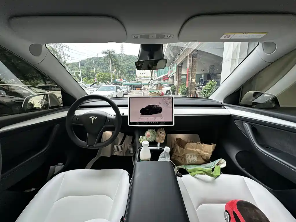 Tesla Model Y — фото 6