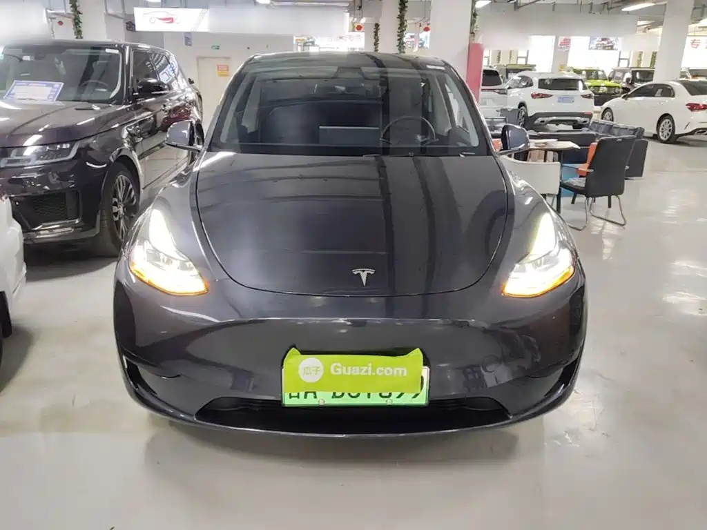 Tesla Model Y — фото 3