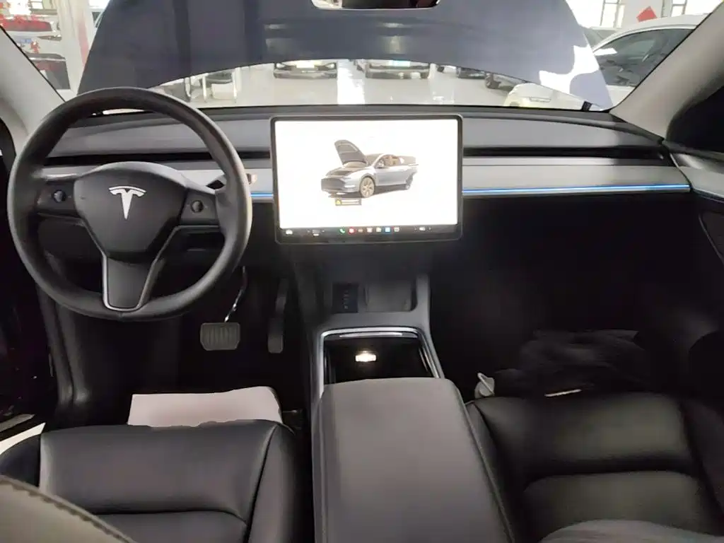Tesla Model Y — фото 10