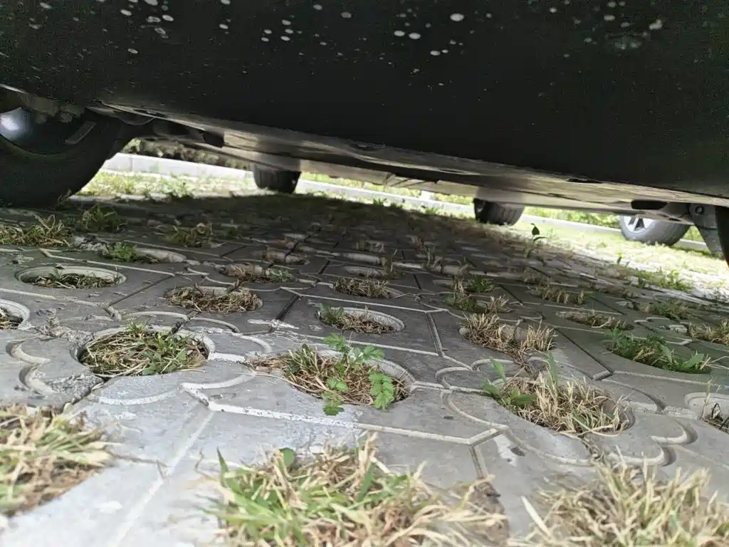 Tesla Model Y — фото 23