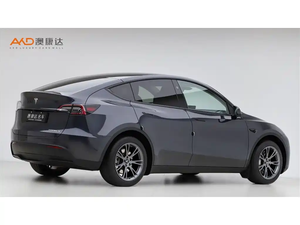 Tesla Model Y — фото 3