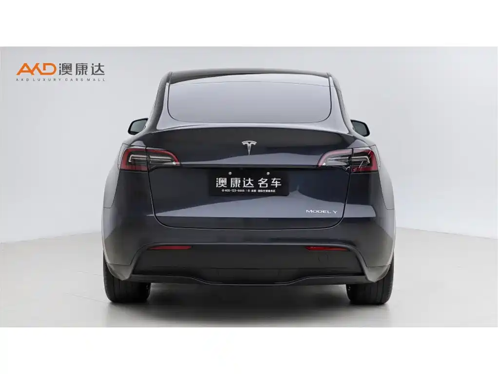 Tesla Model Y — фото 4