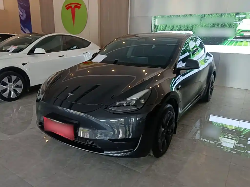 Tesla Model Y — фото 2