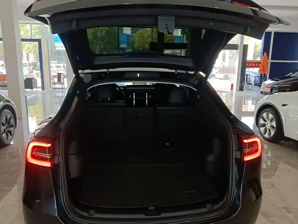Tesla Model Y — фото 19