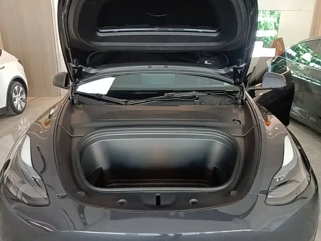 Tesla Model Y — фото 20