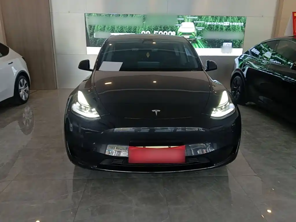 Tesla Model Y — фото 3