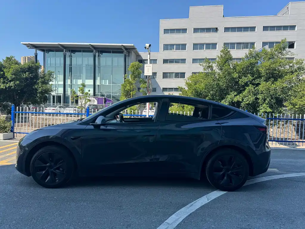 Tesla Model Y — фото 11