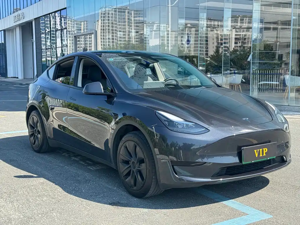 Tesla Model Y — фото 3