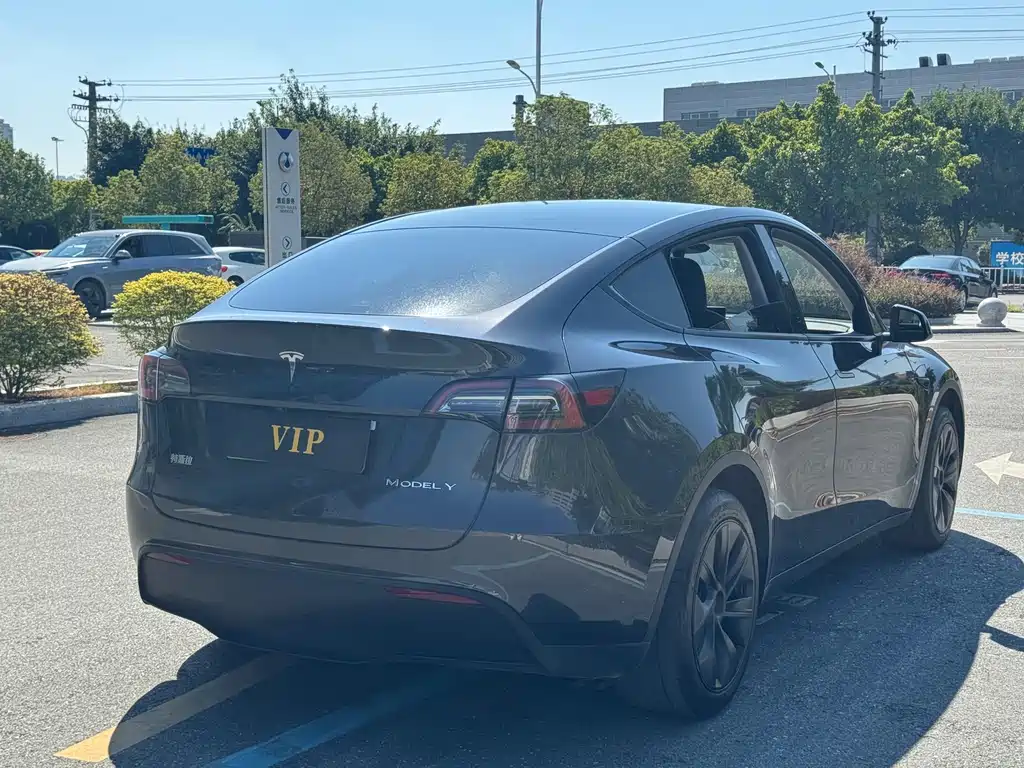 Tesla Model Y — фото 6