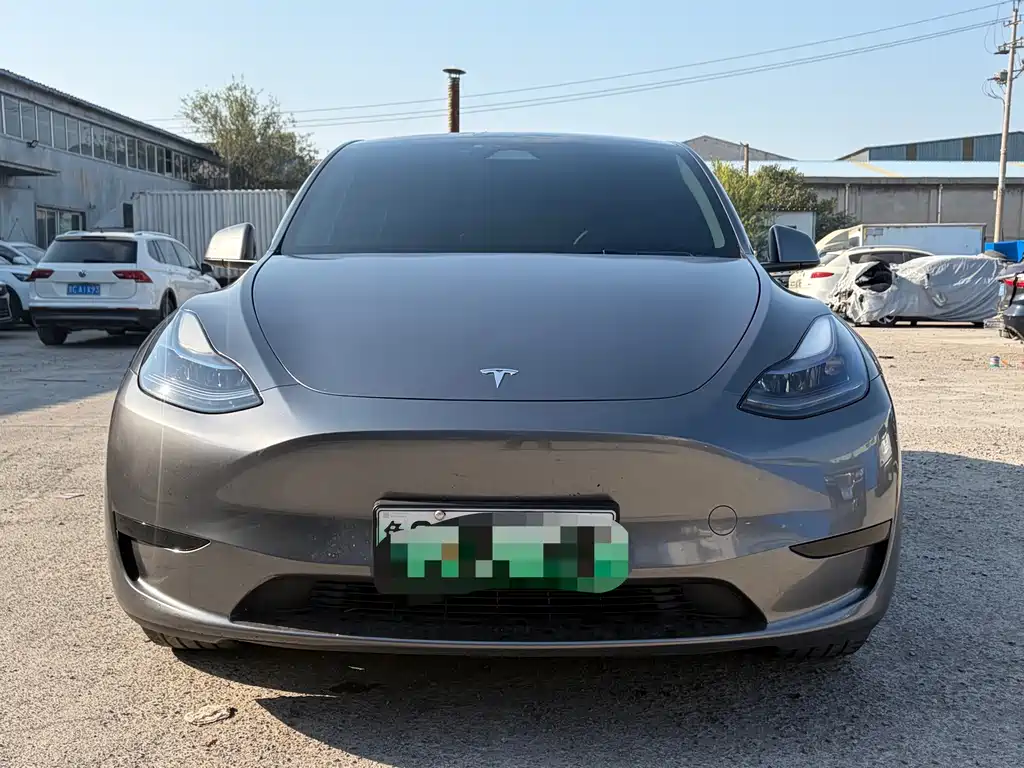 Tesla Model Y — фото 2