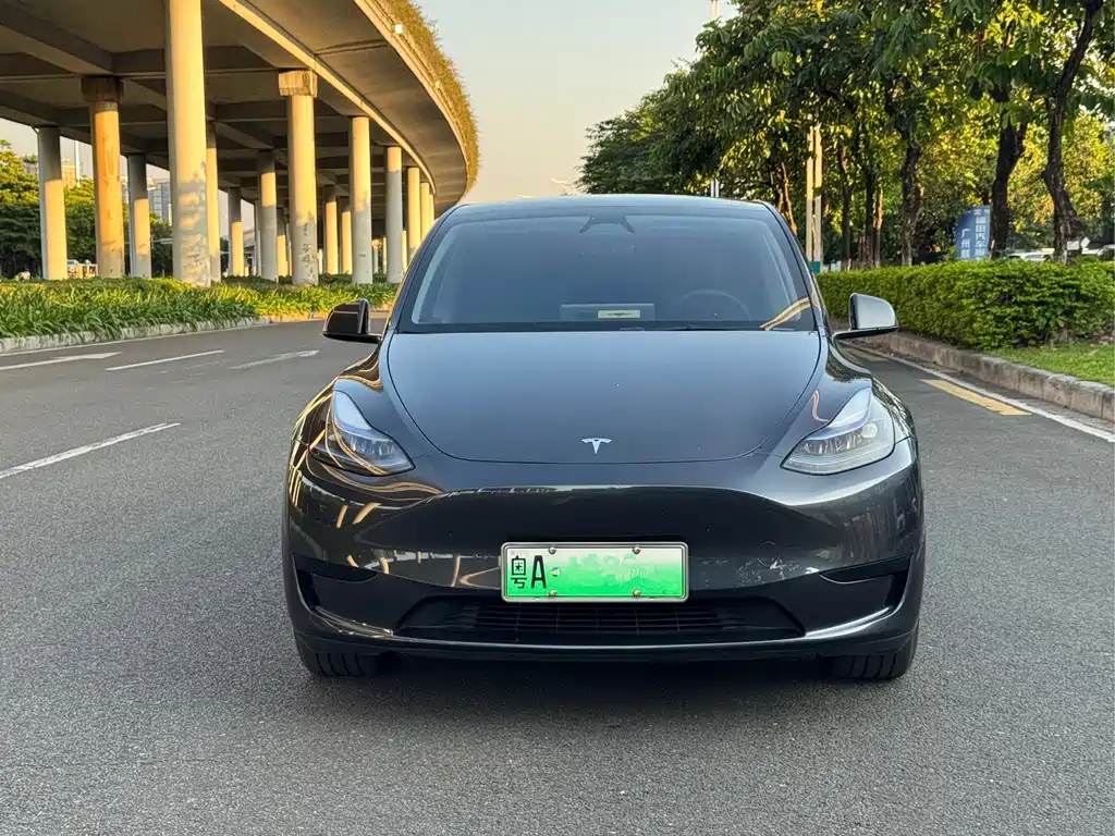Tesla Model Y — фото 2