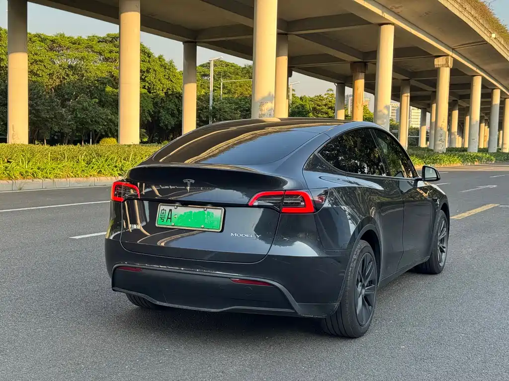 Tesla Model Y — фото 3