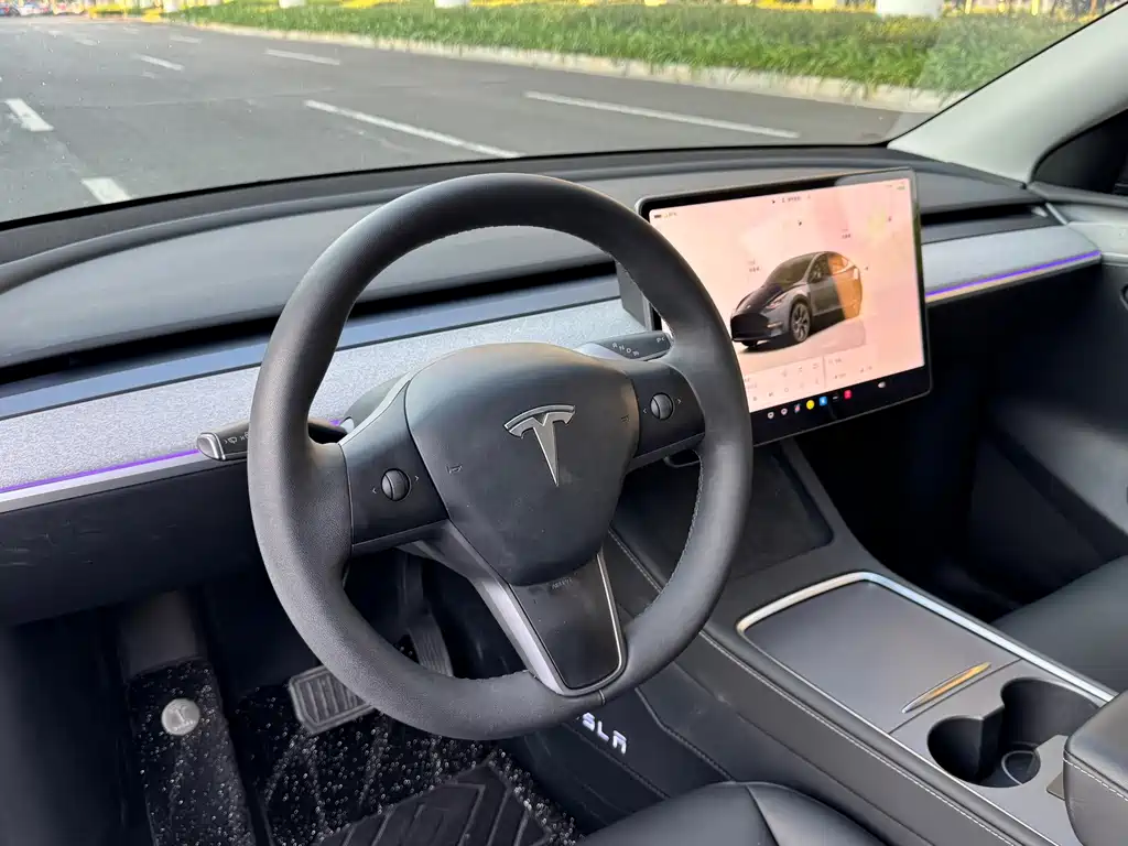Tesla Model Y — фото 6