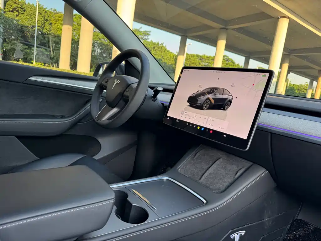 Tesla Model Y — фото 10