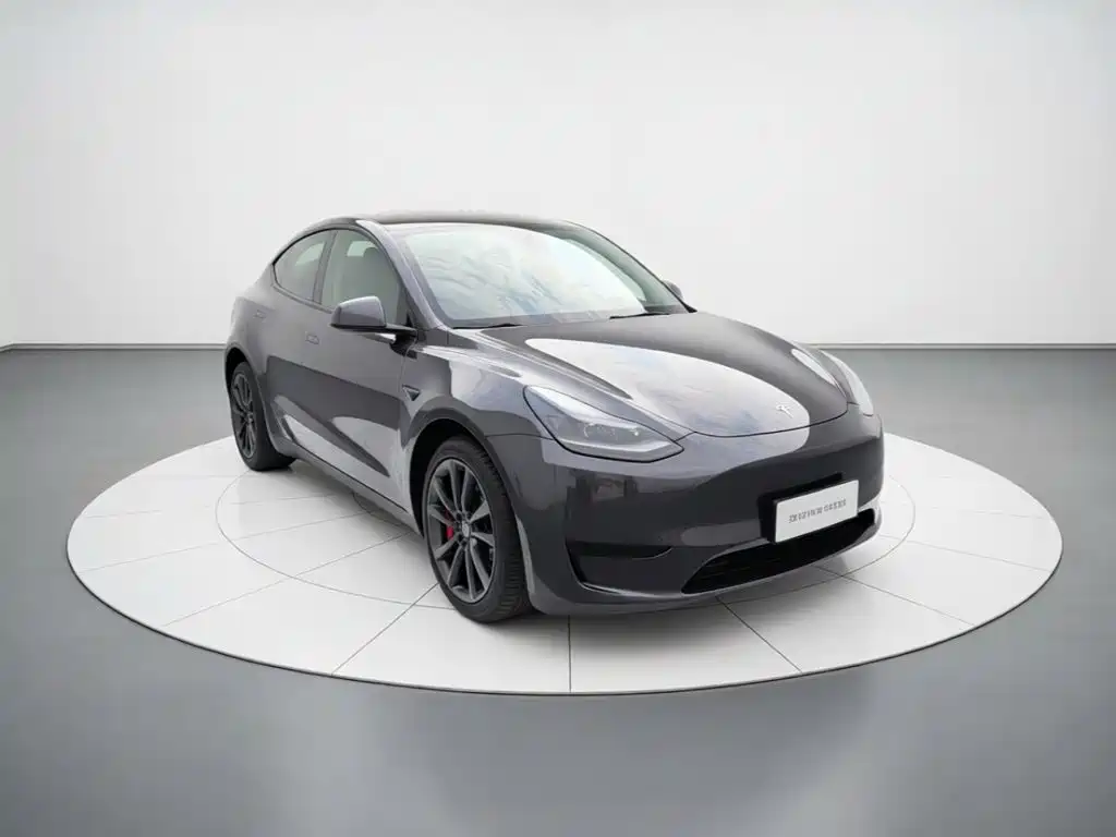 Tesla Model Y — фото 3