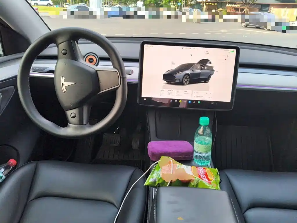 Tesla Model Y — фото 10