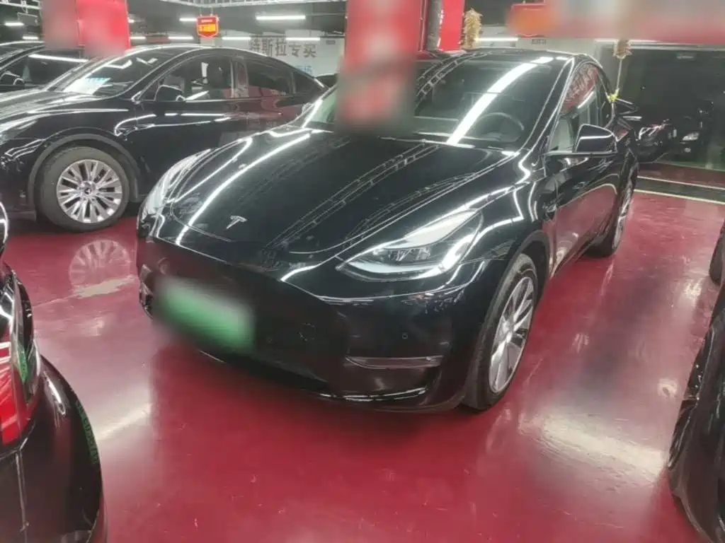 Tesla Model Y — фото 2