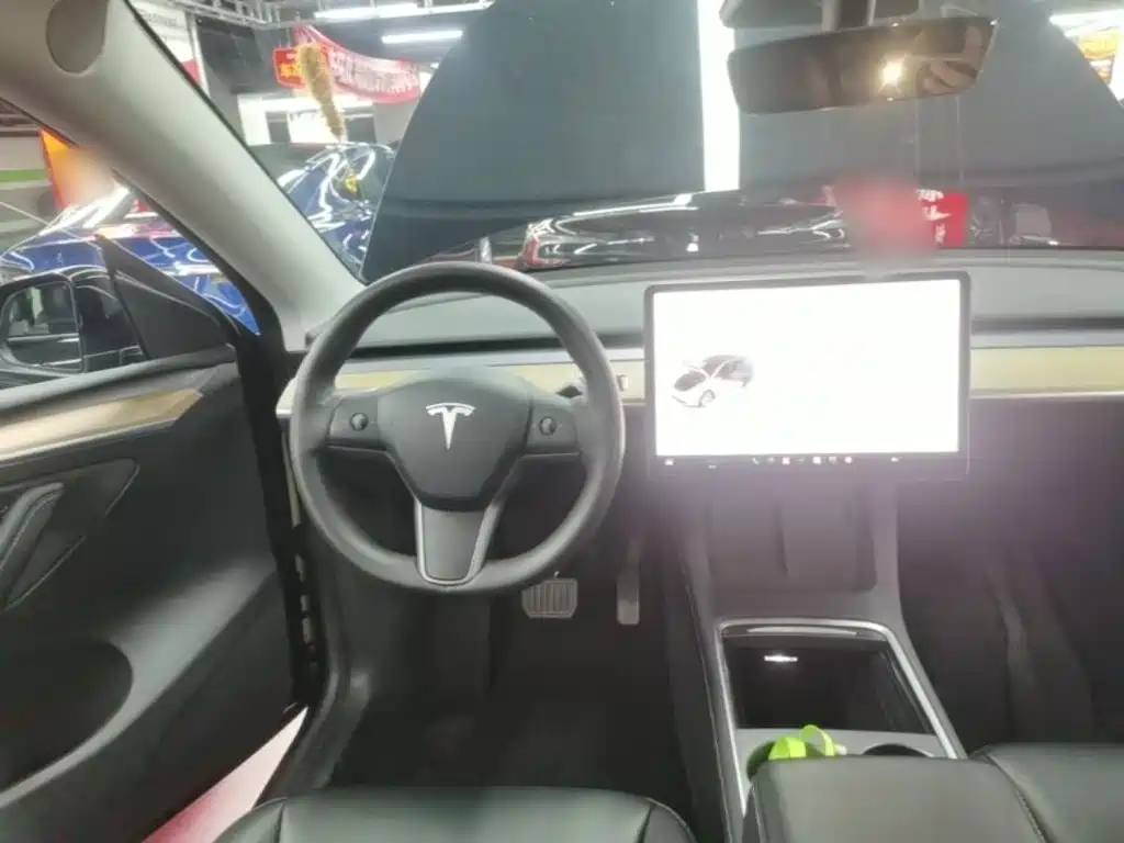 Tesla Model Y — фото 11