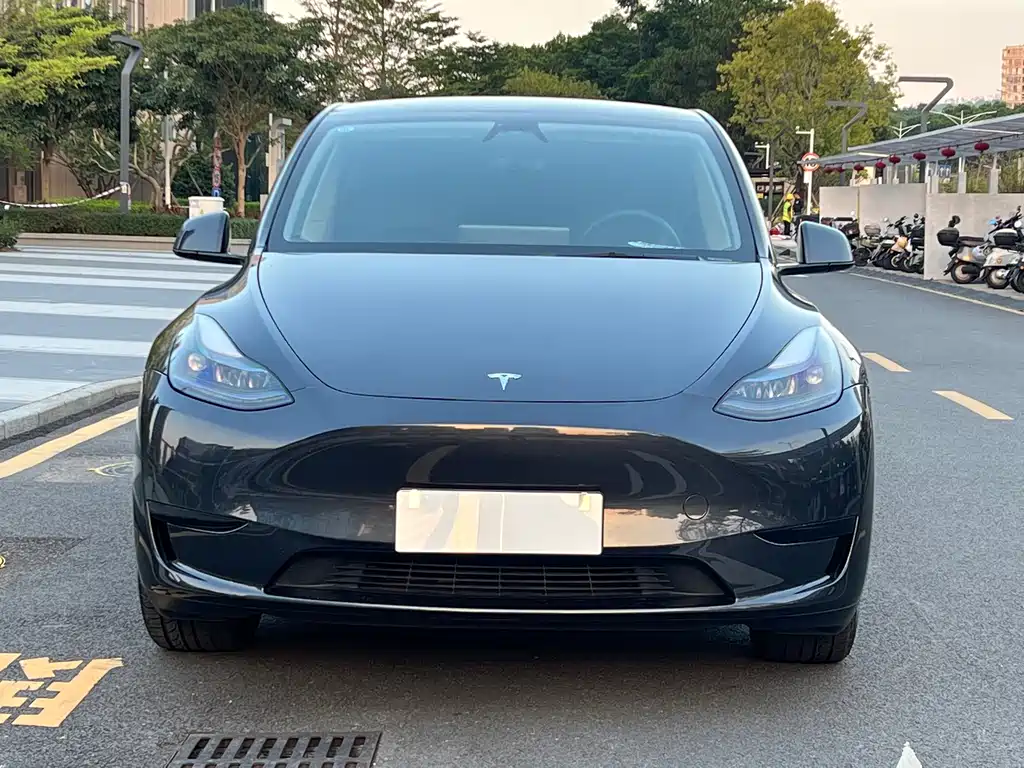 Tesla Model Y — фото 2