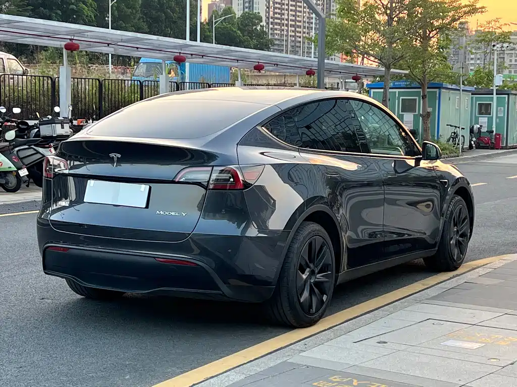 Tesla Model Y — фото 14