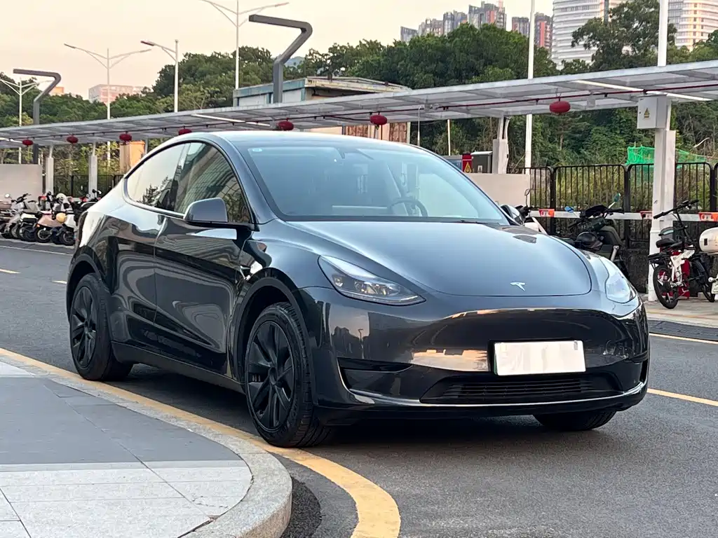 Tesla Model Y — фото 3
