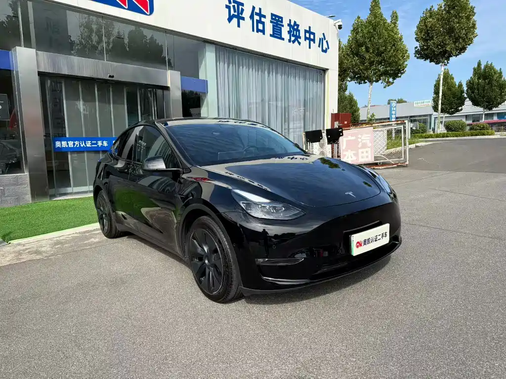 Tesla Model Y — фото 2