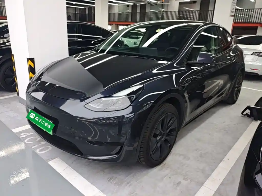 Tesla Model Y — фото 2