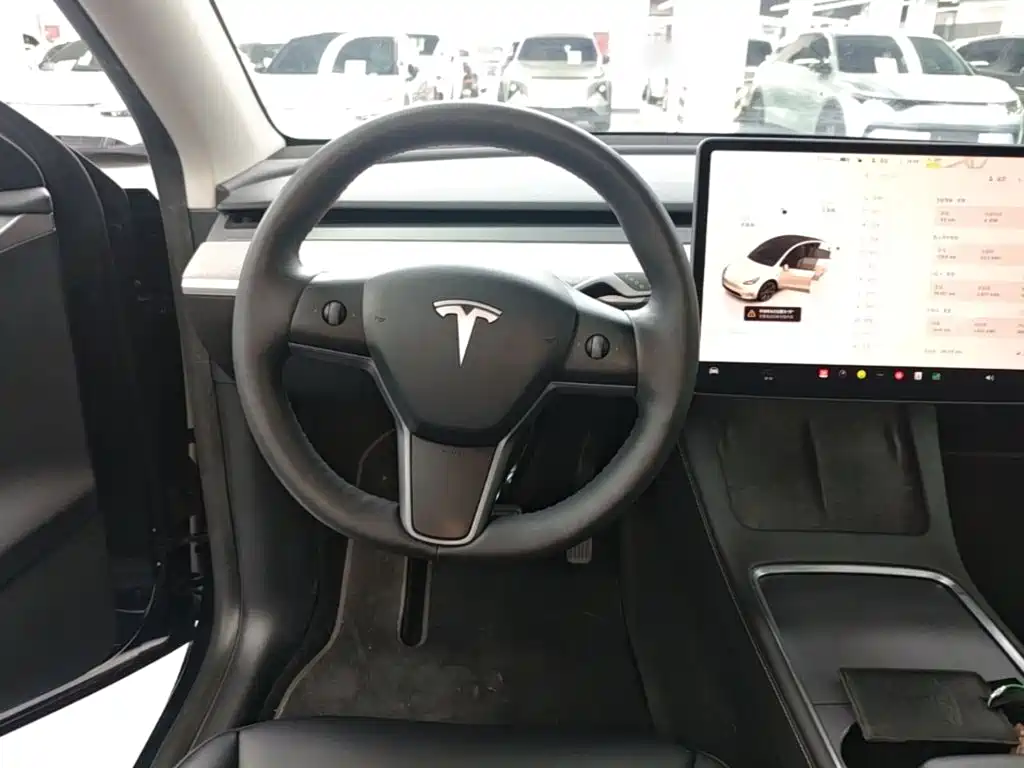 Tesla Model Y — фото 11