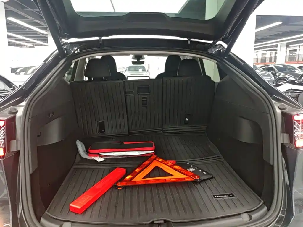Tesla Model Y — фото 19