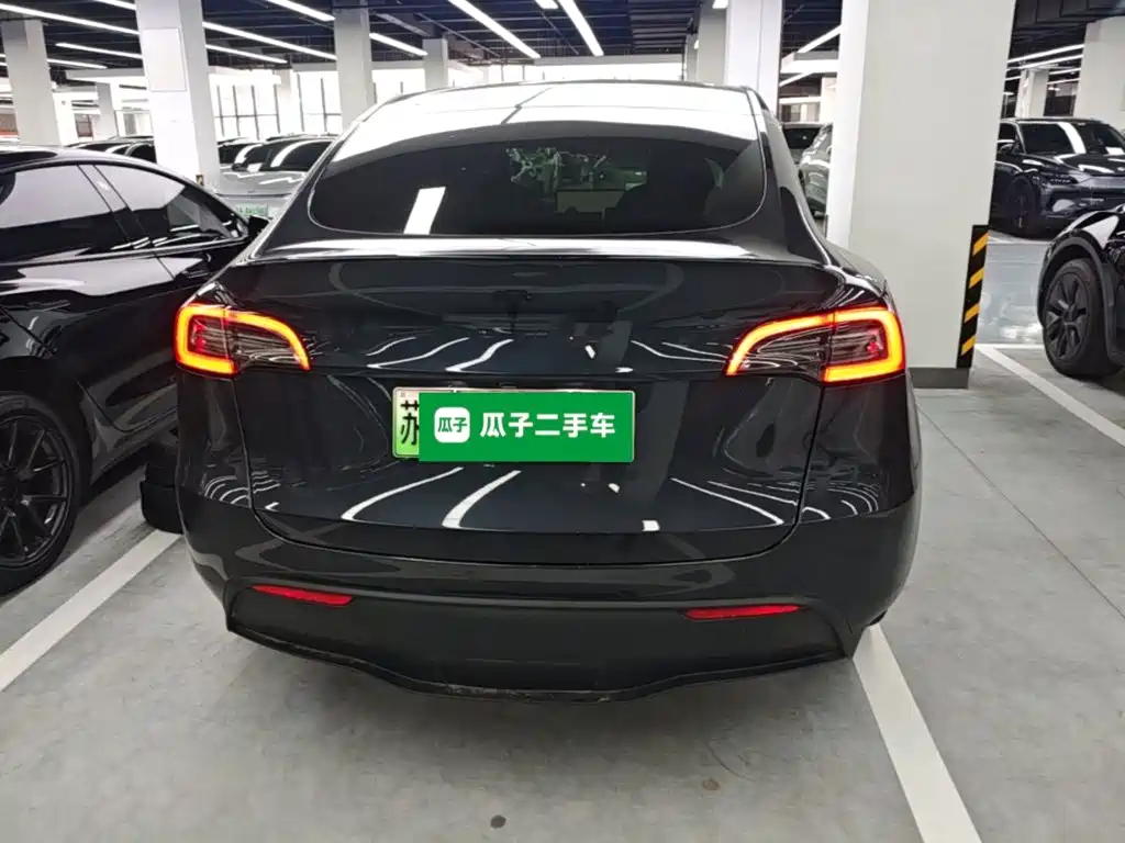 Tesla Model Y — фото 6