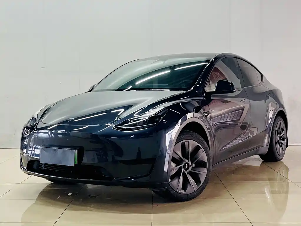 Tesla Model Y — фото 2