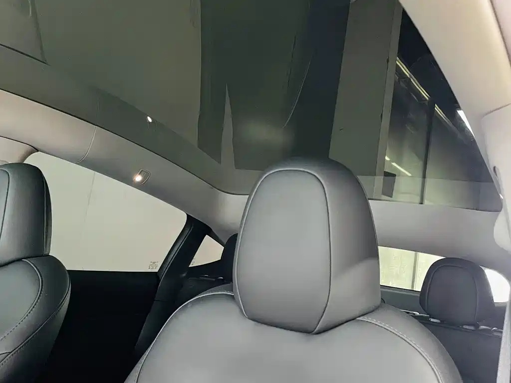 Tesla Model Y — фото 11
