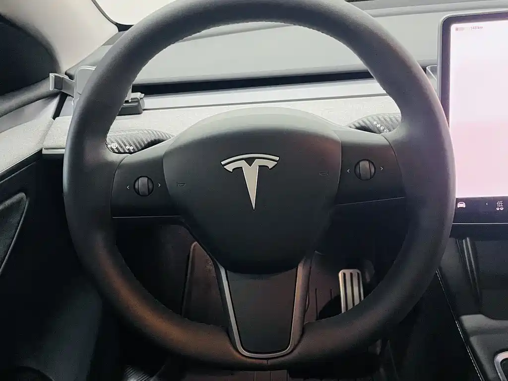Tesla Model Y — фото 14