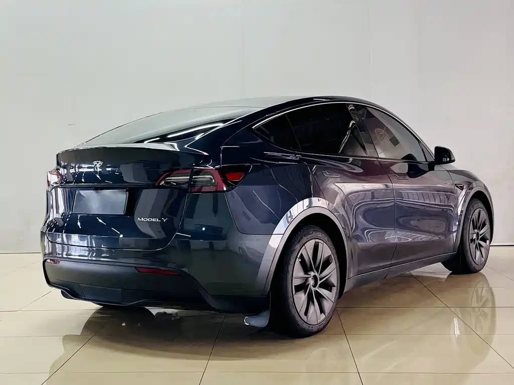 Tesla Model Y — фото 6