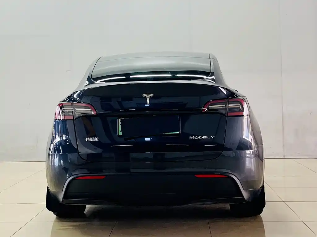 Tesla Model Y — фото 7