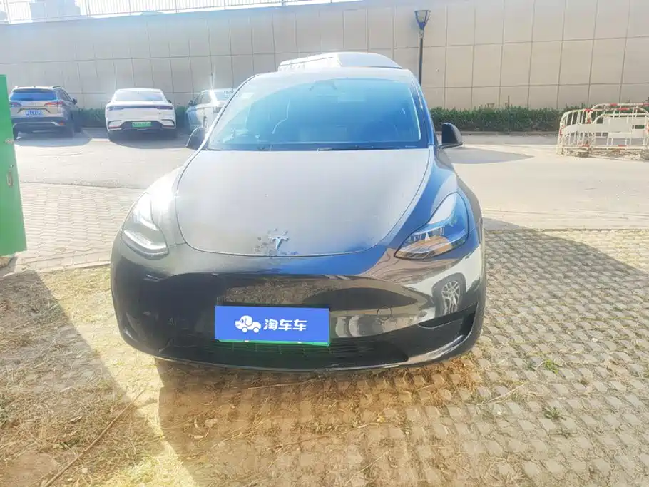 Tesla Model Y — фото 2