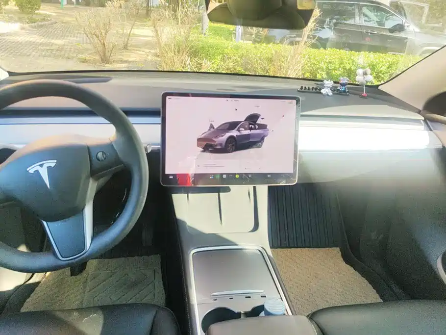 Tesla Model Y — фото 13