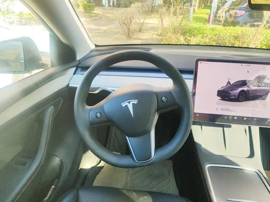 Tesla Model Y — фото 15