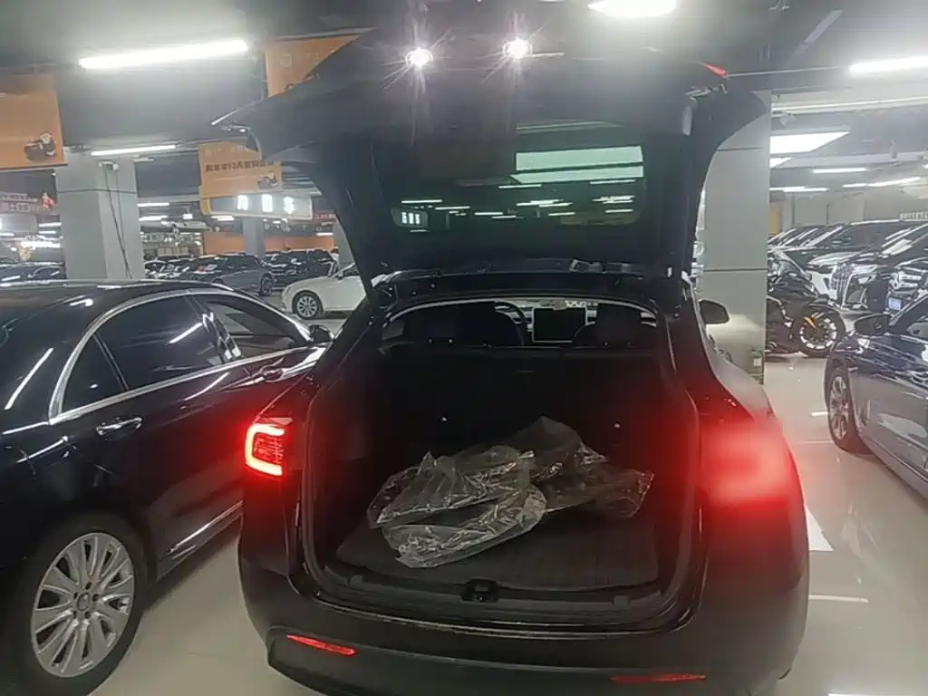 Tesla Model Y — фото 19