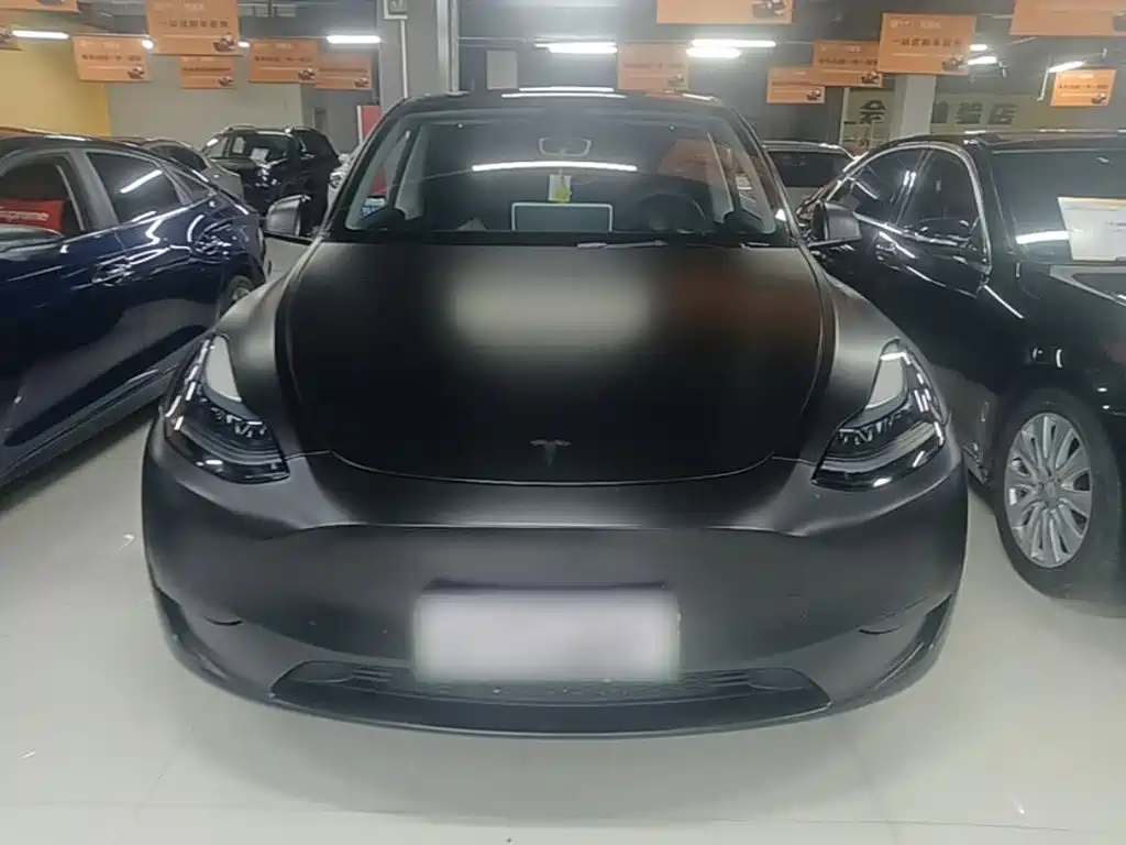 Tesla Model Y — фото 3