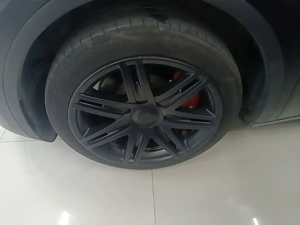 Tesla Model Y — фото 23