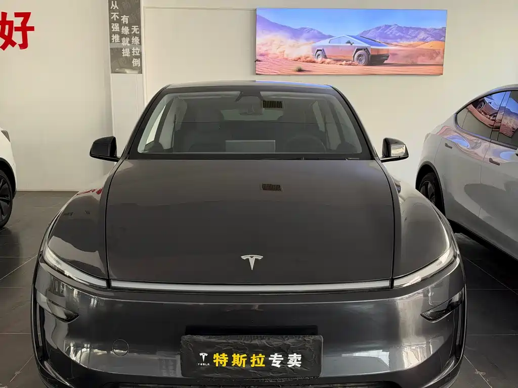 Tesla Model Y — фото 2